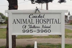 vet in the outer banks