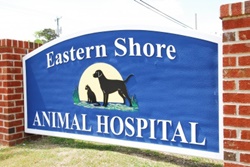 vet in the outer banks