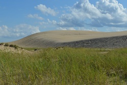 dog park in nags head, north carolina