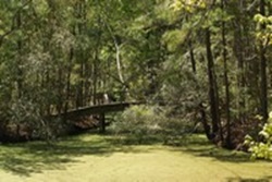 dog park in nags head, north carolina