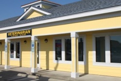 vet in kitty hawk, north carolina