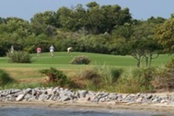 dog beach in roanoke, north carolina