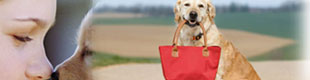 list your property on pet friendly north america