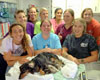 pet day care in the outer banks